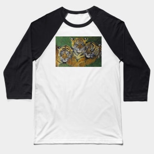 3 tigers in the grass......... Baseball T-Shirt